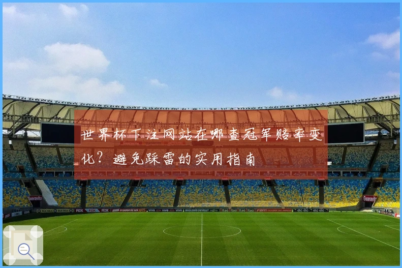 世界杯下注网站在哪查冠军赔率变化？避免踩雷的实用指南