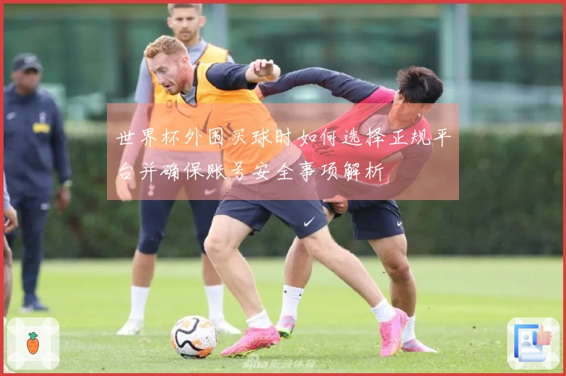 世界杯外围买球时如何选择正规平台并确保账号安全事项解析 体育文章配图