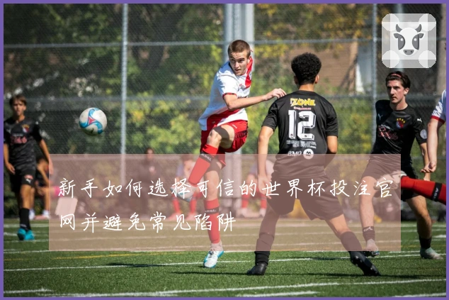 新手如何选择可信的世界杯投注官网并避免常见陷阱