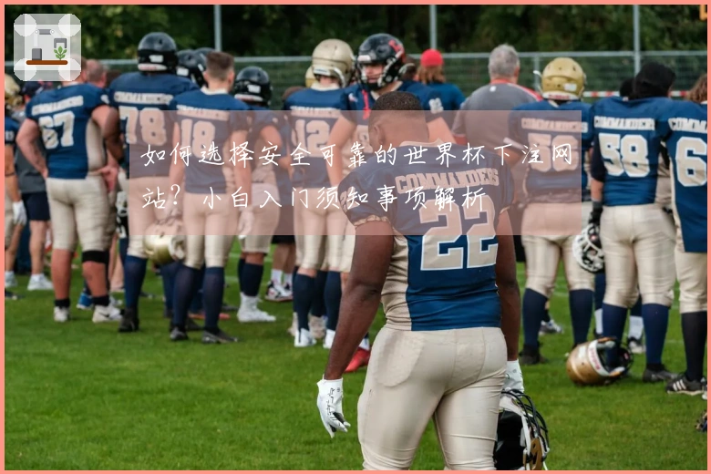 如何选择安全可靠的世界杯下注网站？小白入门须知事项解析
