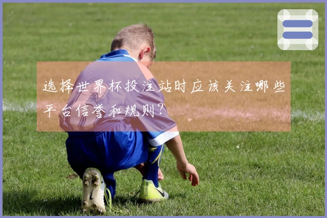选择世界杯投注站时应该关注哪些平台信誉和规则？
