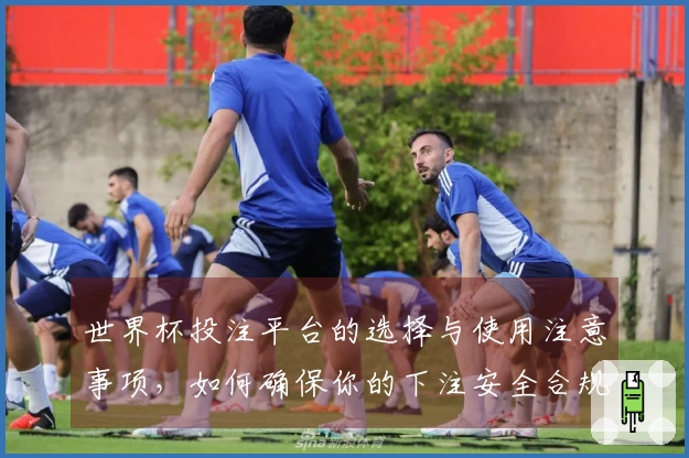 世界杯投注平台的选择与使用注意事项，如何确保你的下注安全合规？